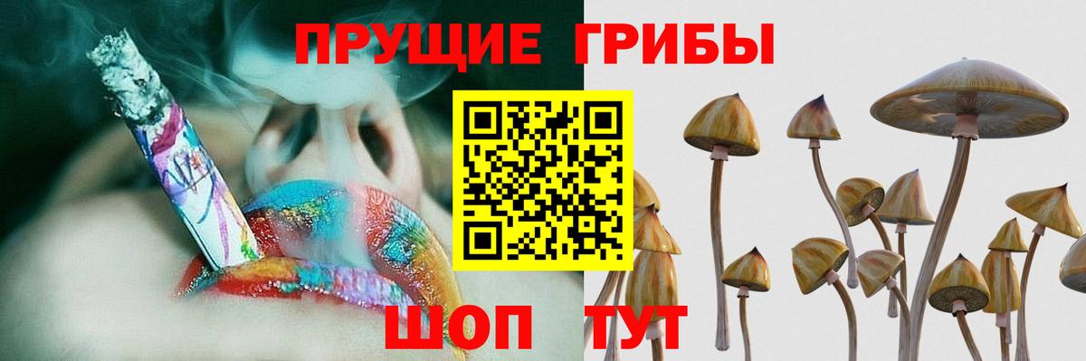Ишим  Псилоцибиновые грибы GOLDEN TEACHER  Вход с VPN 